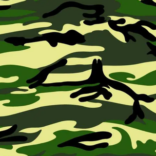 Camo Graphic Style